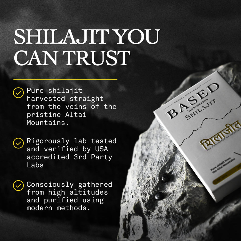 Shilajit Tablets
