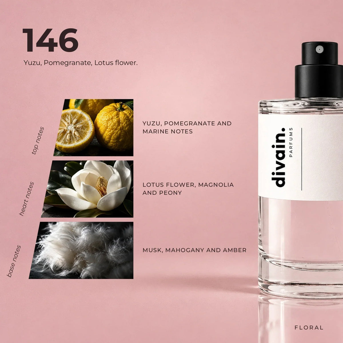 divain. 146