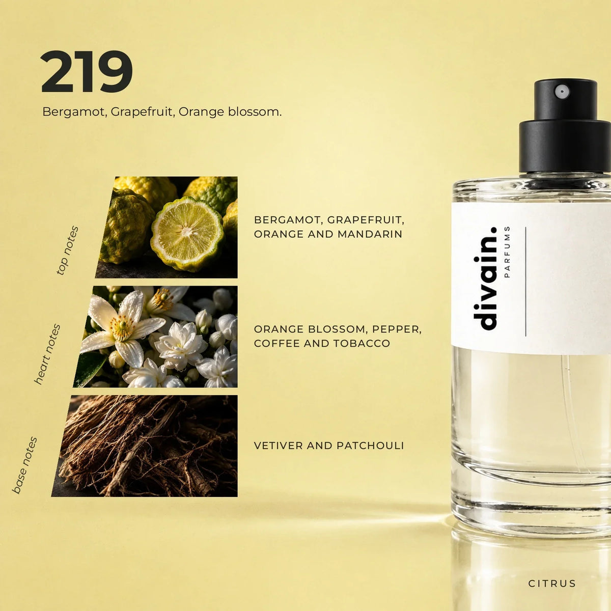divain. 219