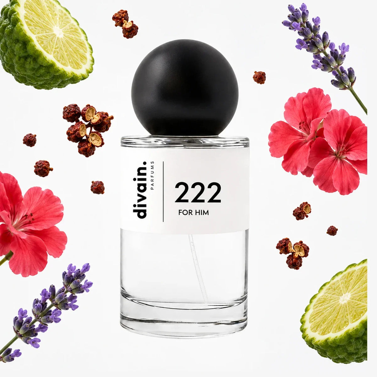 divain. 222