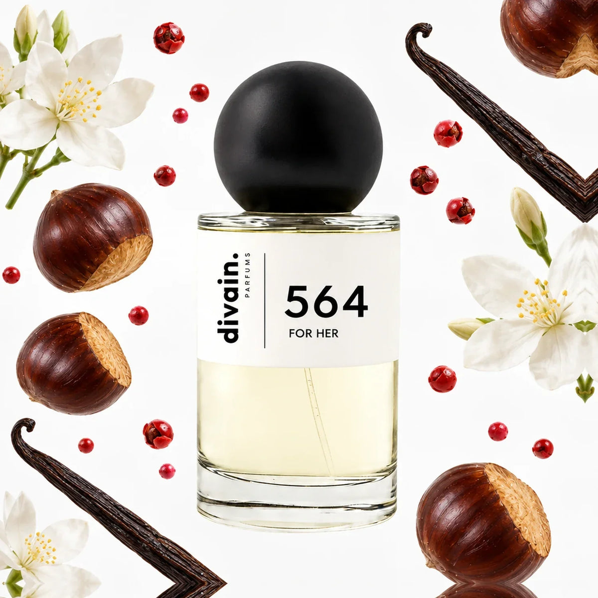 divain. 564